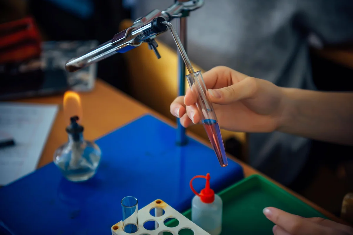 Everyday Science Principles
